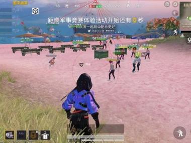 手雷外挂和平精英